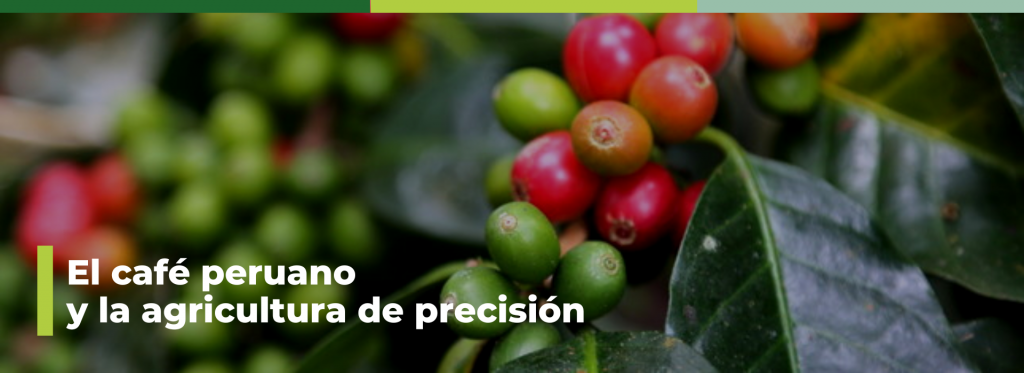 el cultivo de café y la agricultura de precisión
